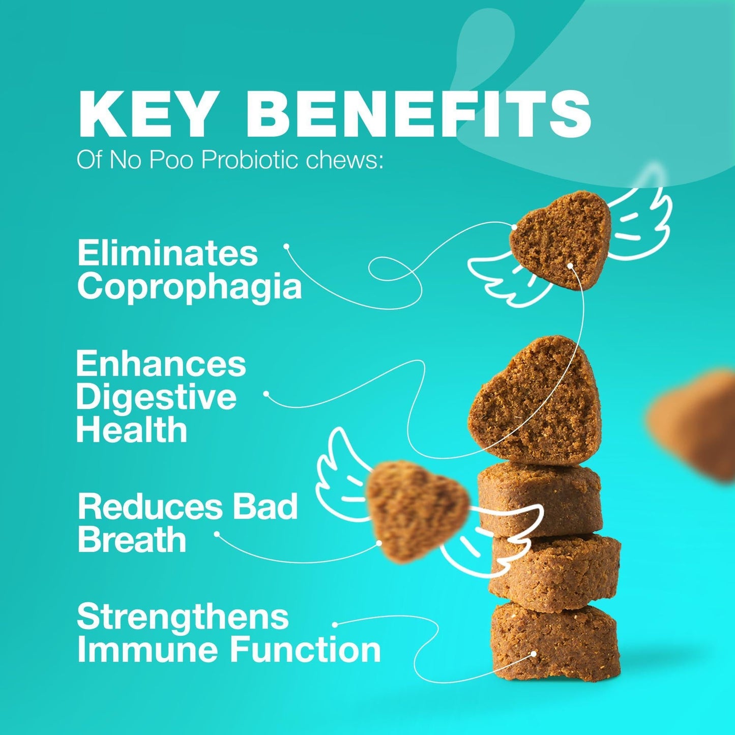 No Poo Chews for Dogs Coprophagia Deterrent Probiotics Gut Health