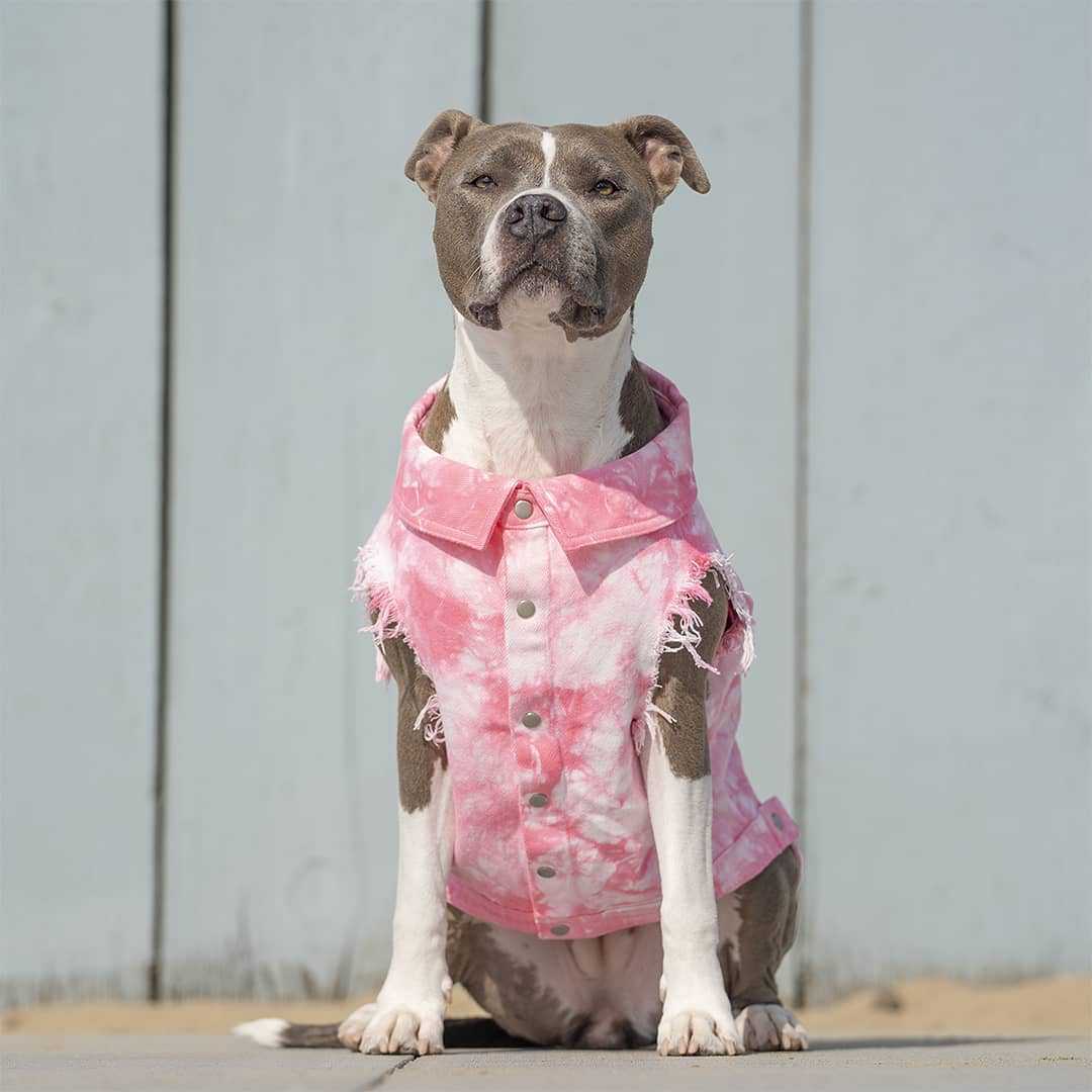 Pet Dog Washed Denim Jacket Clothes