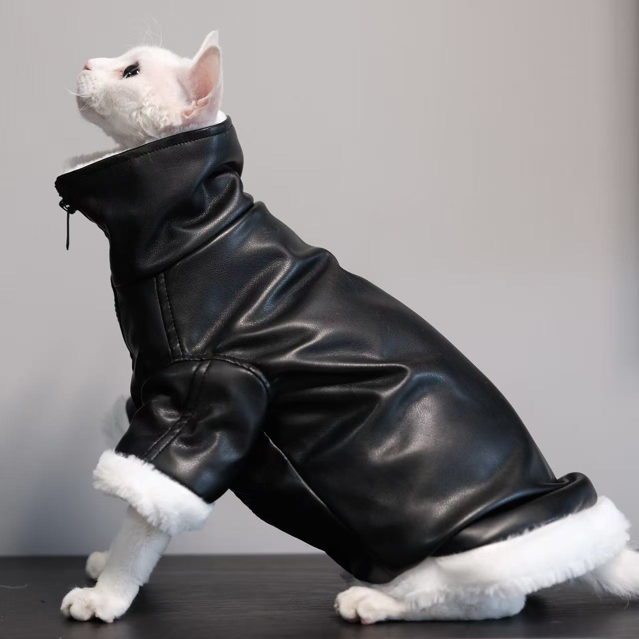 Thickened Coat Furless Cat Apparel Sphynx Cat Outfit Autumnwinter Style