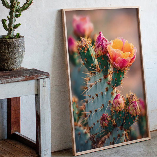 Fleurs au milieu d'une étreinte épineuse