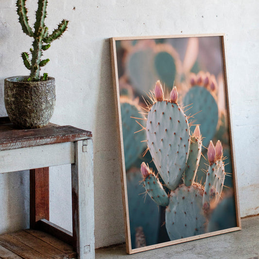 Les cactus embrassent l'aube dorée