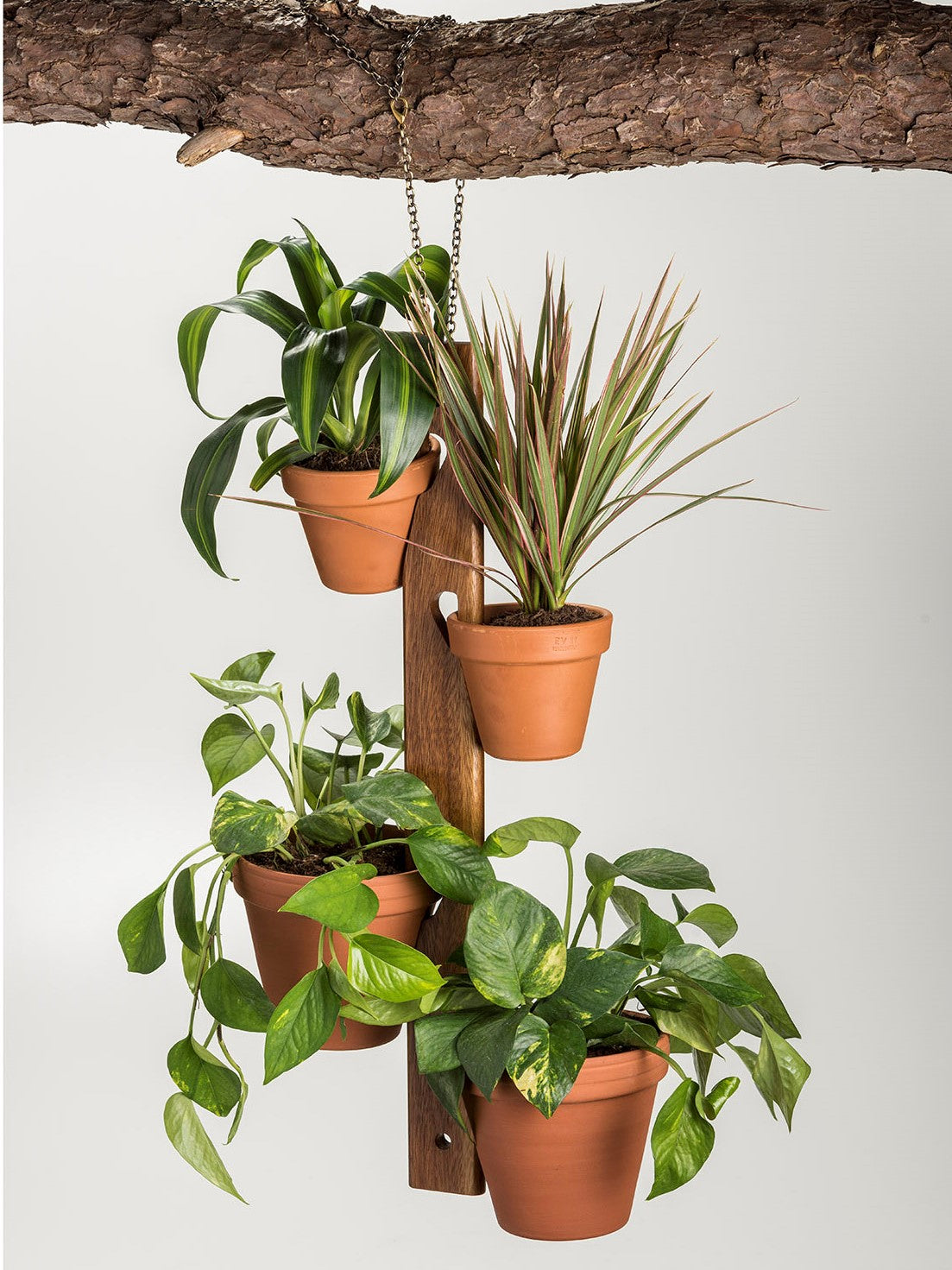 Suspension pour 4 pots de fleurs de 4 et 6 pouces en terre cuite 23.5 x 2.5