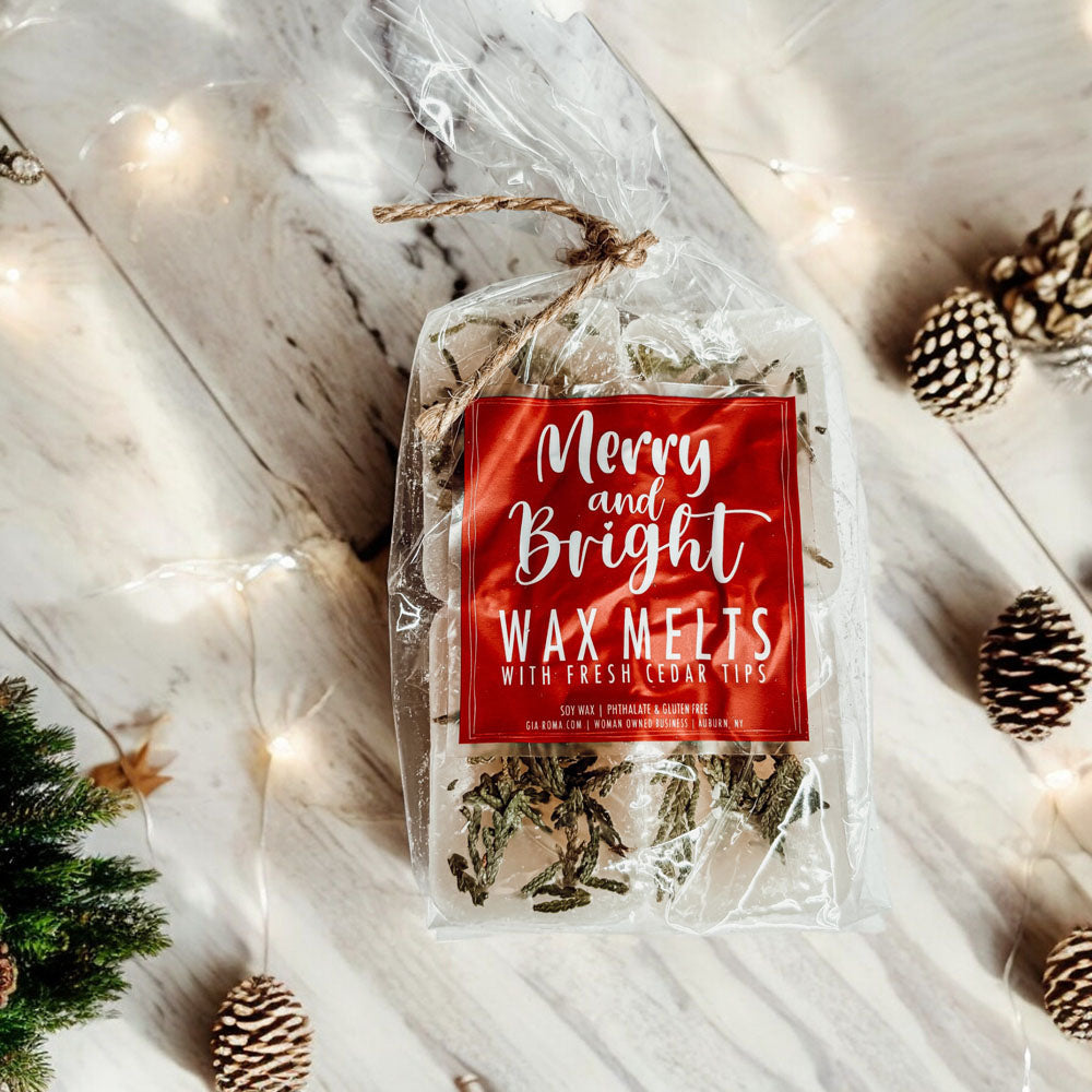 Galets de Cire XL Sapin de Noël 4 Cubes Parfum Doux de Cèdre Frais et de Pin pour les Fêtes