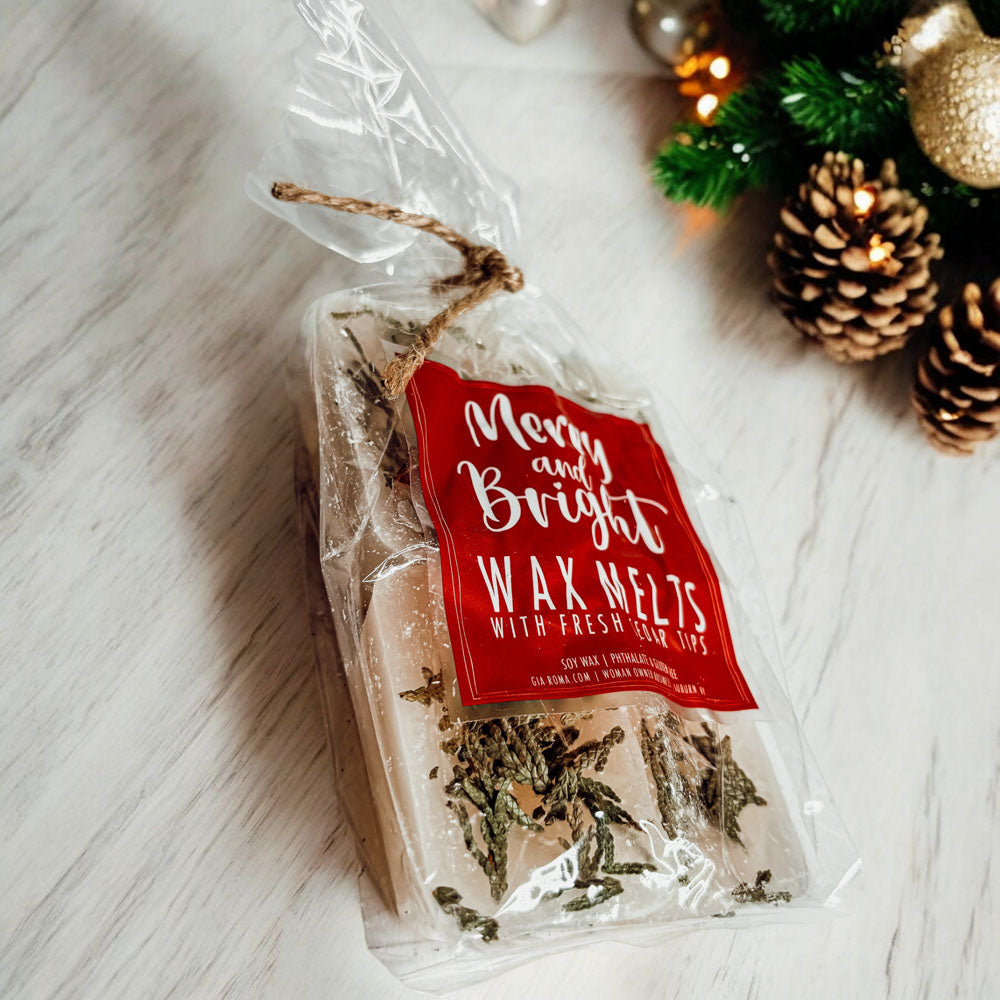 Galets de Cire XL Sapin de Noël 4 Cubes Parfum Doux de Cèdre Frais et de Pin pour les Fêtes