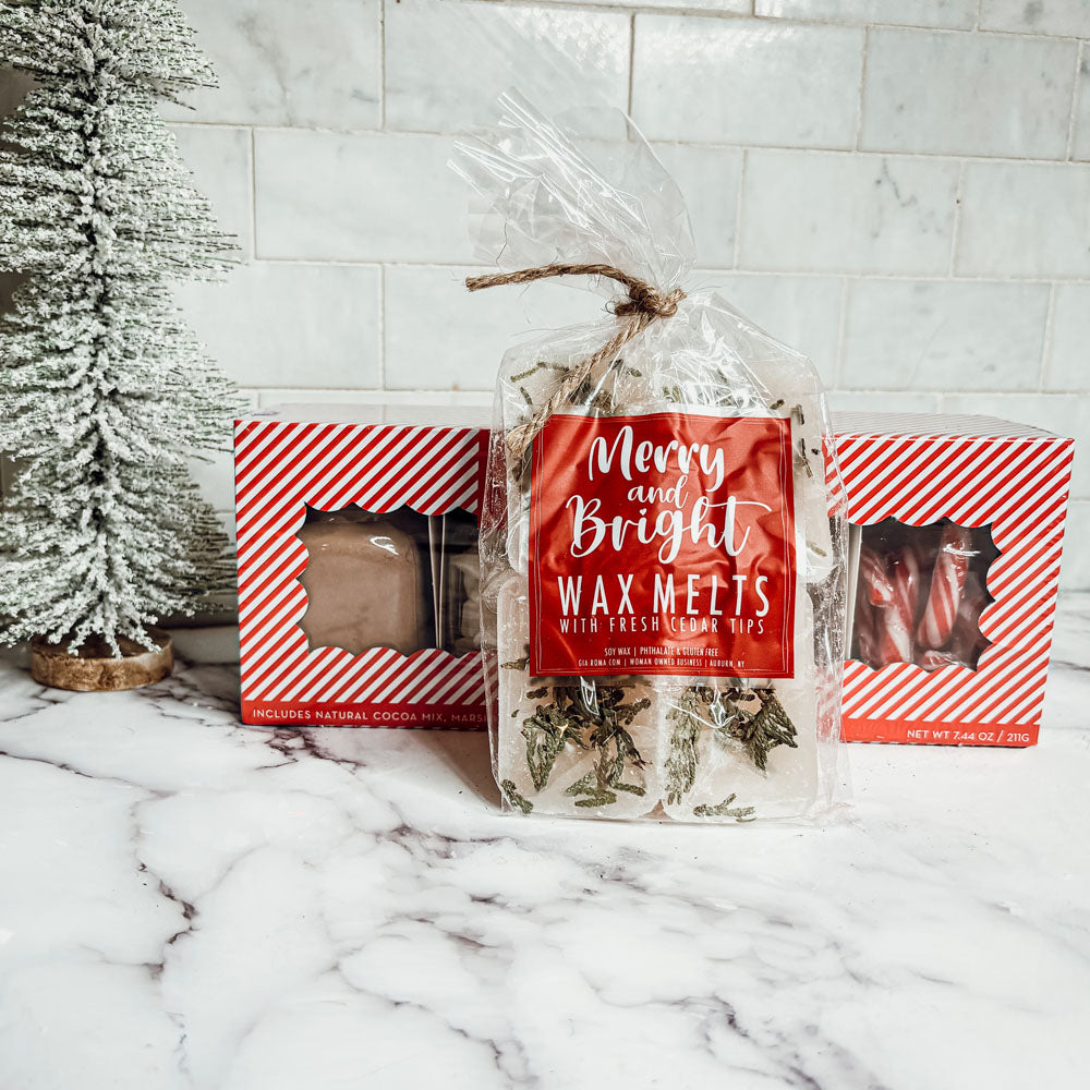 Galets de Cire XL Sapin de Noël 4 Cubes Parfum Doux de Cèdre Frais et de Pin pour les Fêtes
