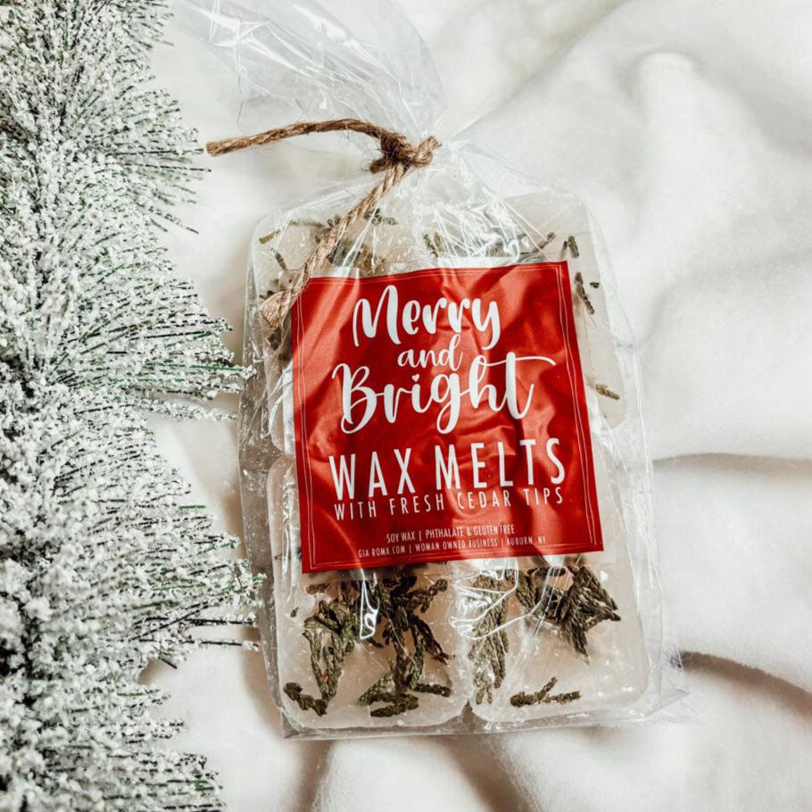 Galets de Cire XL Sapin de Noël 4 Cubes Parfum Doux de Cèdre Frais et de Pin pour les Fêtes