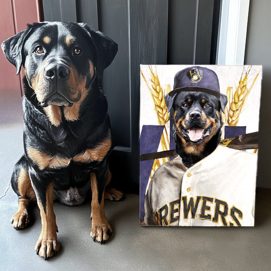 Individuelles Baseball-Glory-Serie Texturporträt