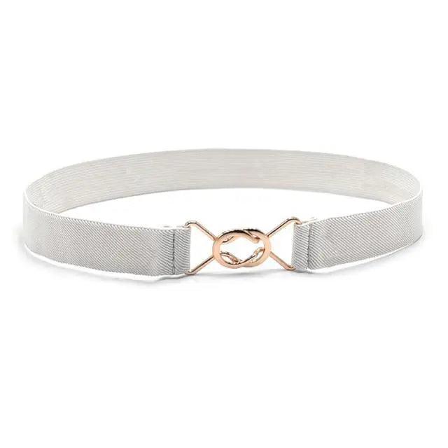 Modern Wide Fabric Strap Silver Metal Buckle Belts For Women Trendy Fashion Stretchable Classic Belts