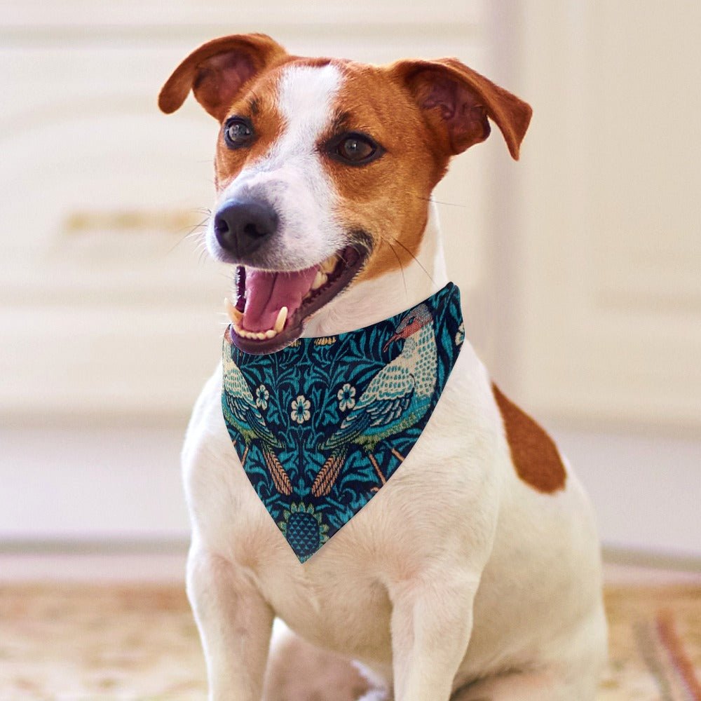 Morris Bird Pet Scarf
