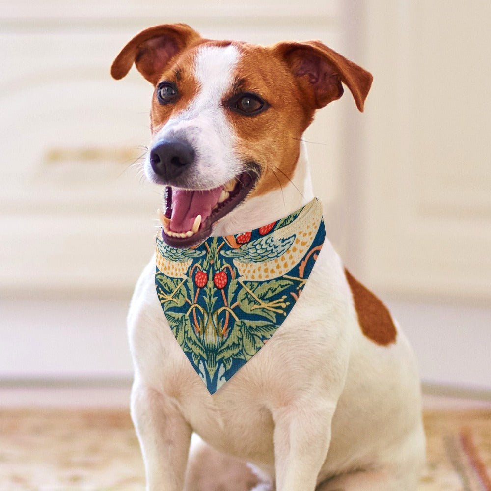Morris Strawberry Thief Pet Scarf