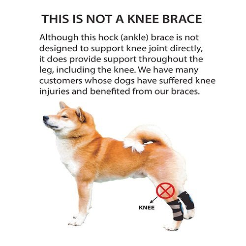 Attelle de soutien pour patte arrière de chien NeoAlly avec sangles réfléchissantes de sécurité pour petits chiens [Version courte]