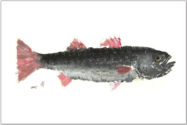 Pink & Grey Striper Placemat – Gyotaku Coastal Table Decor