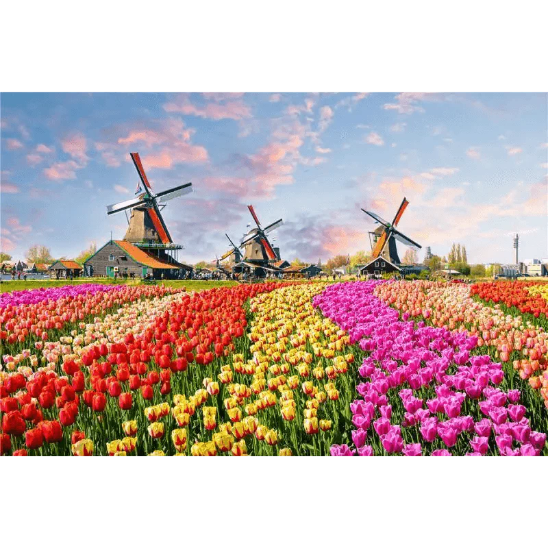 Puzzles 500 Pieces Wooden Assembling Picture Landscape Puzzles Toys For Adults Childrens Kids Games Educational Toy