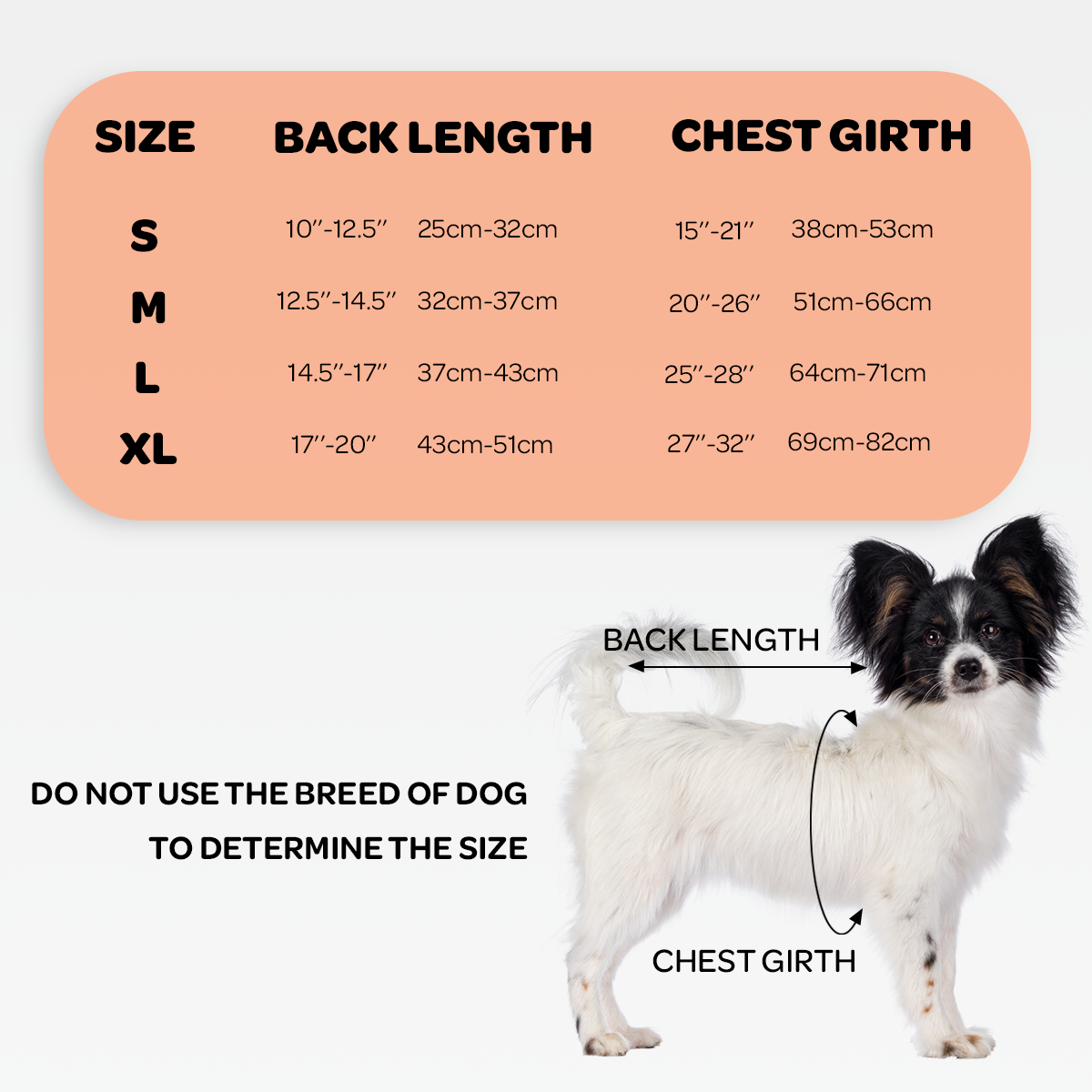 NeoAlly Orthèse dorsale pour chiens avec inserts pour un soutien supplémentaire