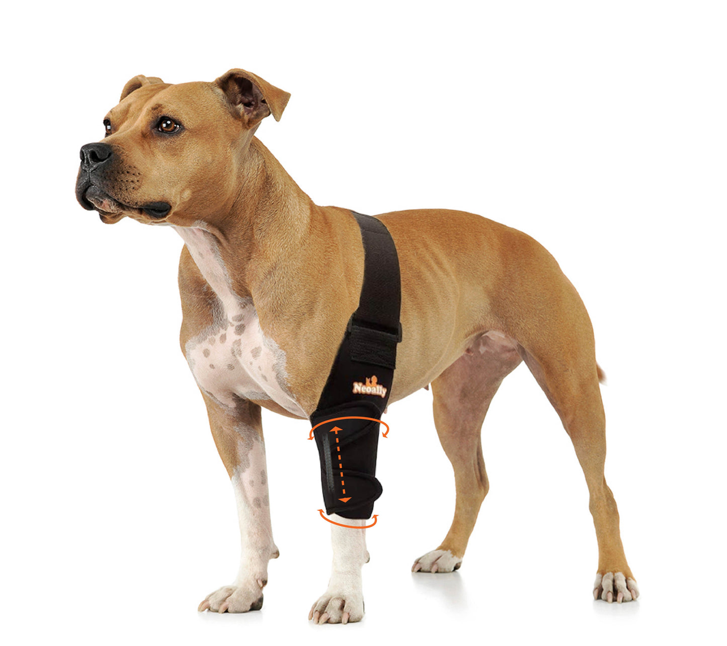 NeoAlly Ellbogen- und Schulterbandage mit Federeinsätzen für Hunde und Katzen – Optimale Unterstützung für verbesserte Mobilität Ihres Haustieres