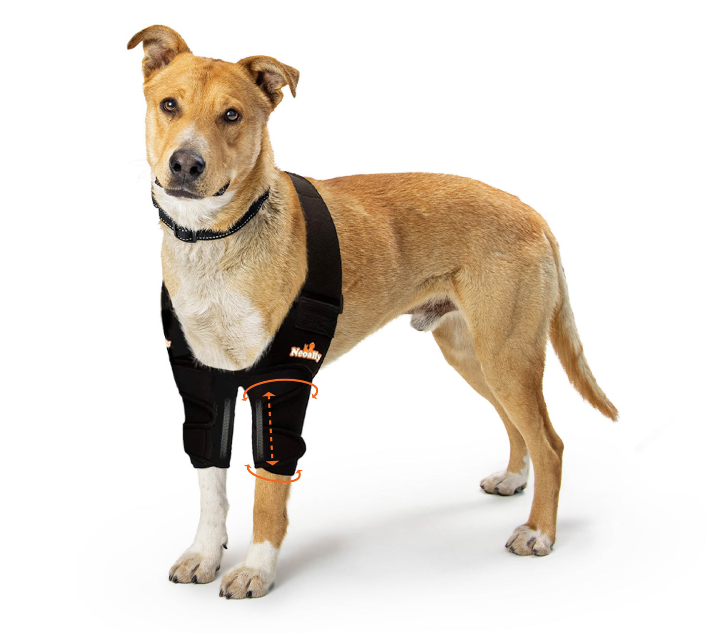 NeoAlly Ellbogen- und Schulterbandage mit Federeinsätzen für Hunde und Katzen – Optimale Unterstützung für verbesserte Mobilität Ihres Haustieres