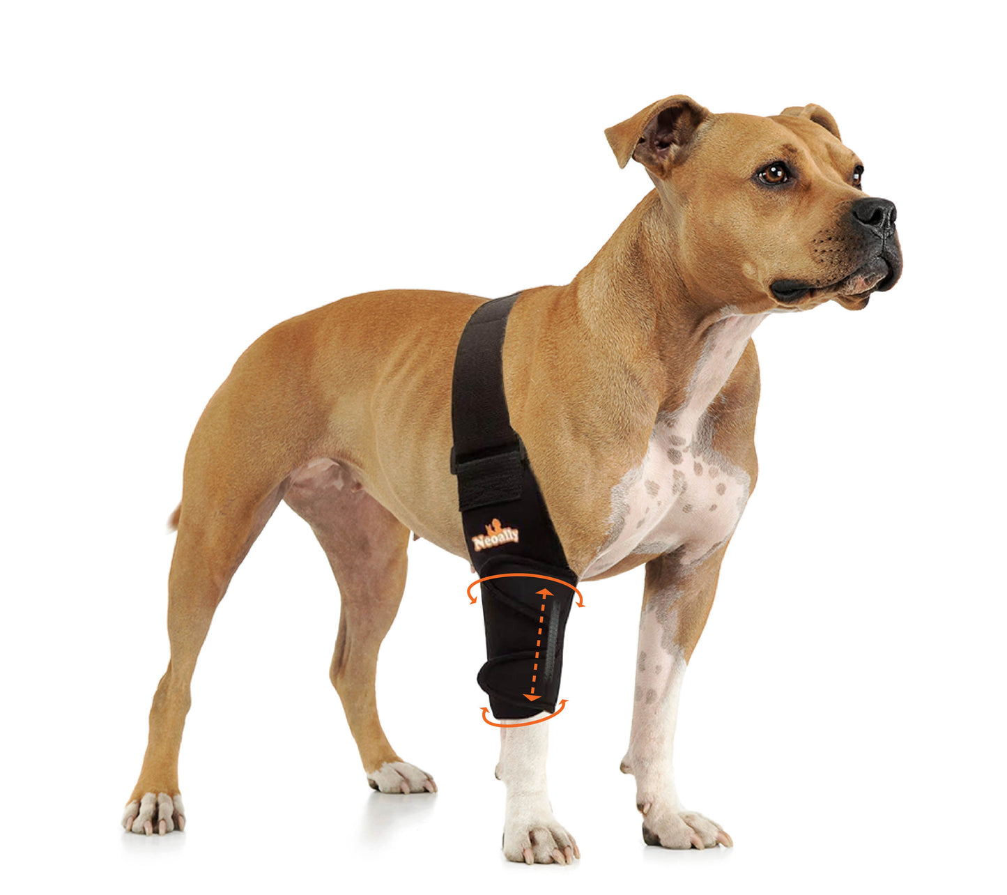 NeoAlly Ellbogen- und Schulterbandage mit Federeinsätzen für Hunde und Katzen – Optimale Unterstützung für verbesserte Mobilität Ihres Haustieres