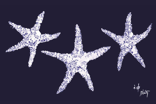 Starfish on Navy Placemat | Beach House
