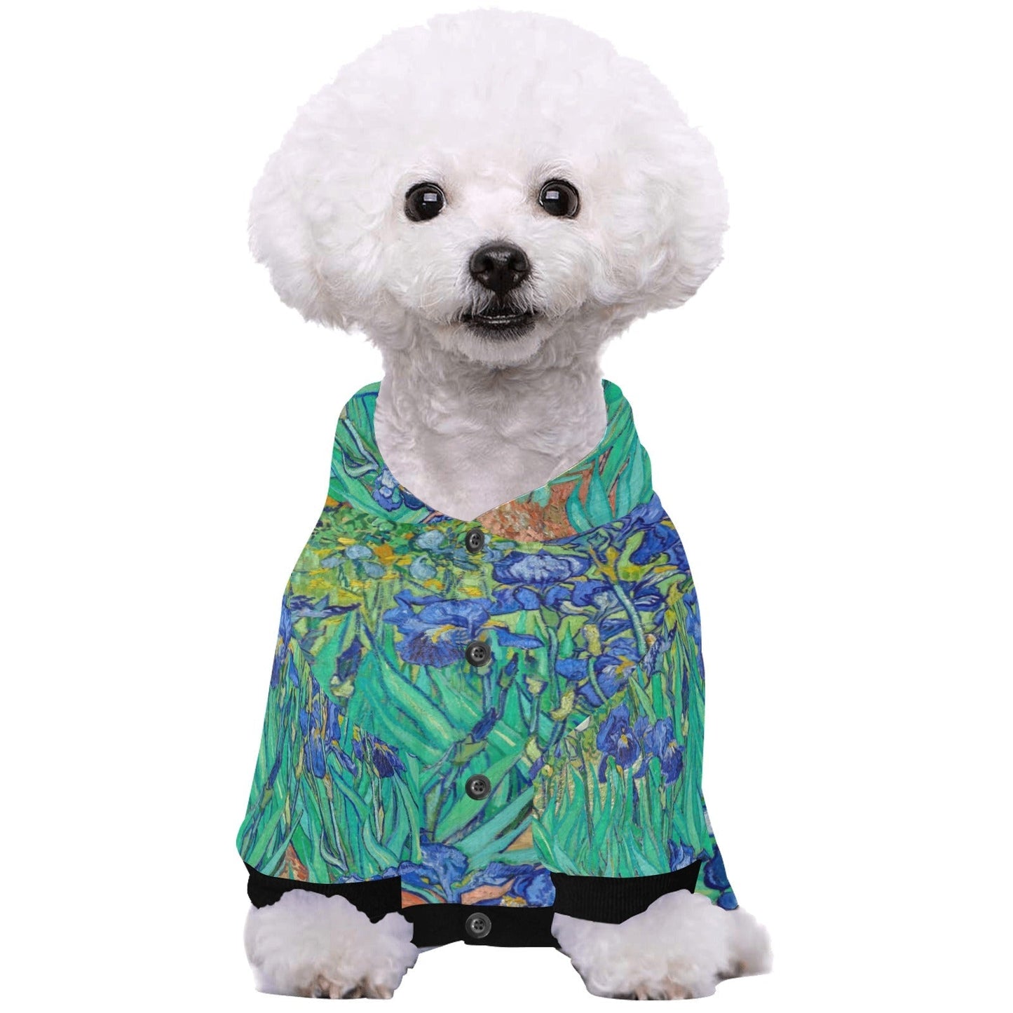 Van Gogh Irises Button Hoodie