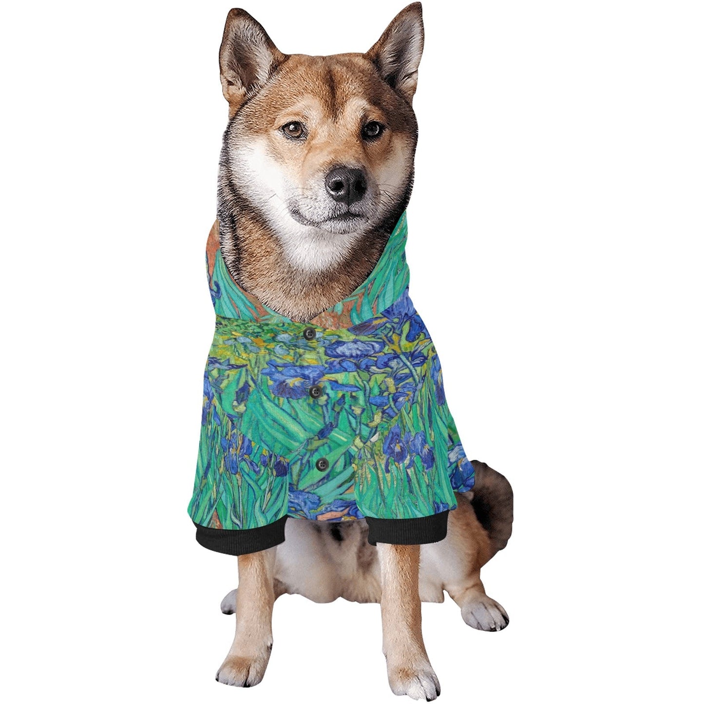 Van Gogh Irises Button Hoodie