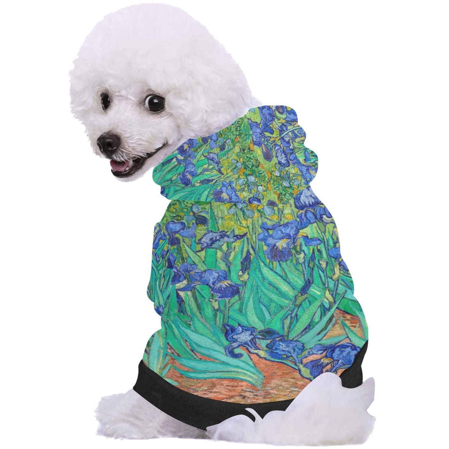 Van Gogh Irises Button Hoodie