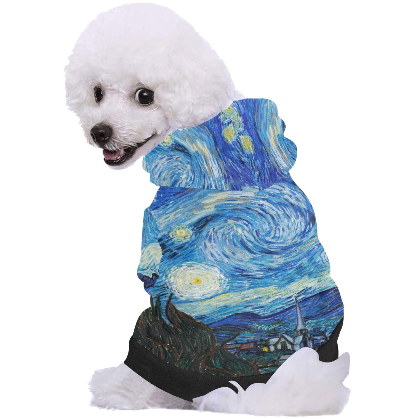 Van Gogh Starry Night Button Hoodie