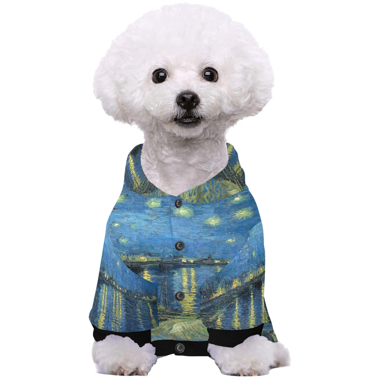 Van Gogh Starry Night Over The Rhone Button Hoodie