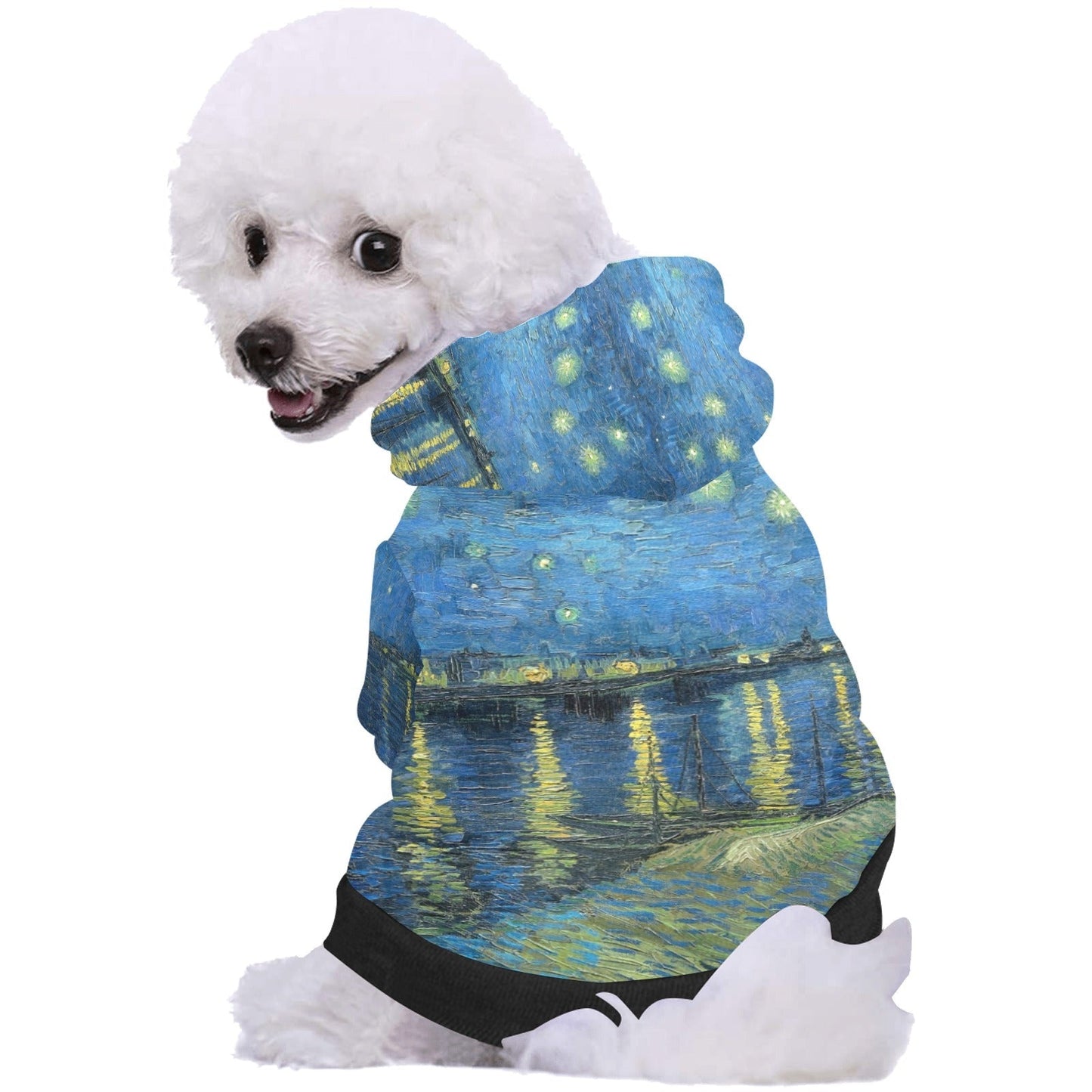 Van Gogh Starry Night Over The Rhone Button Hoodie