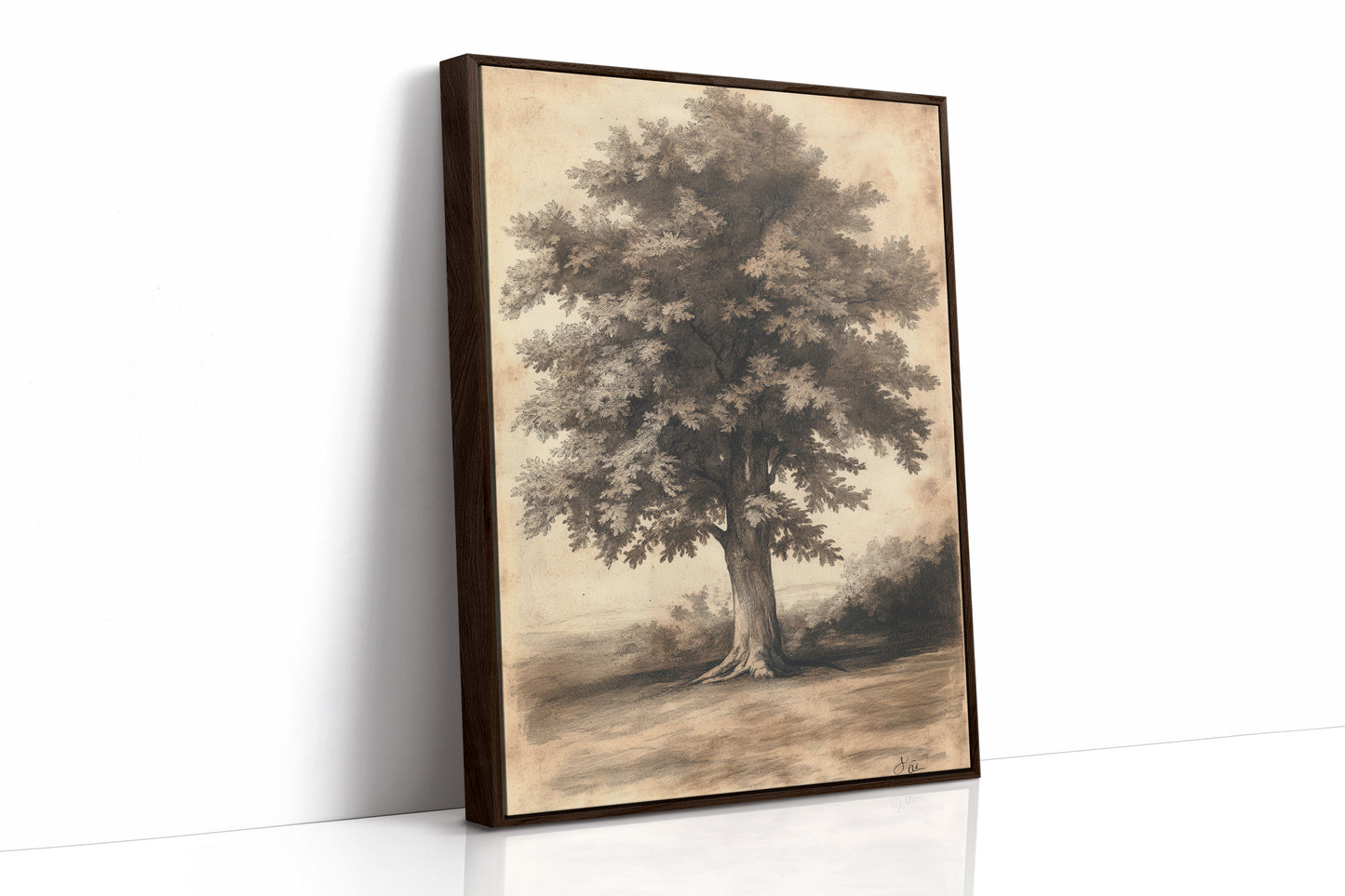 Timeless Oaks