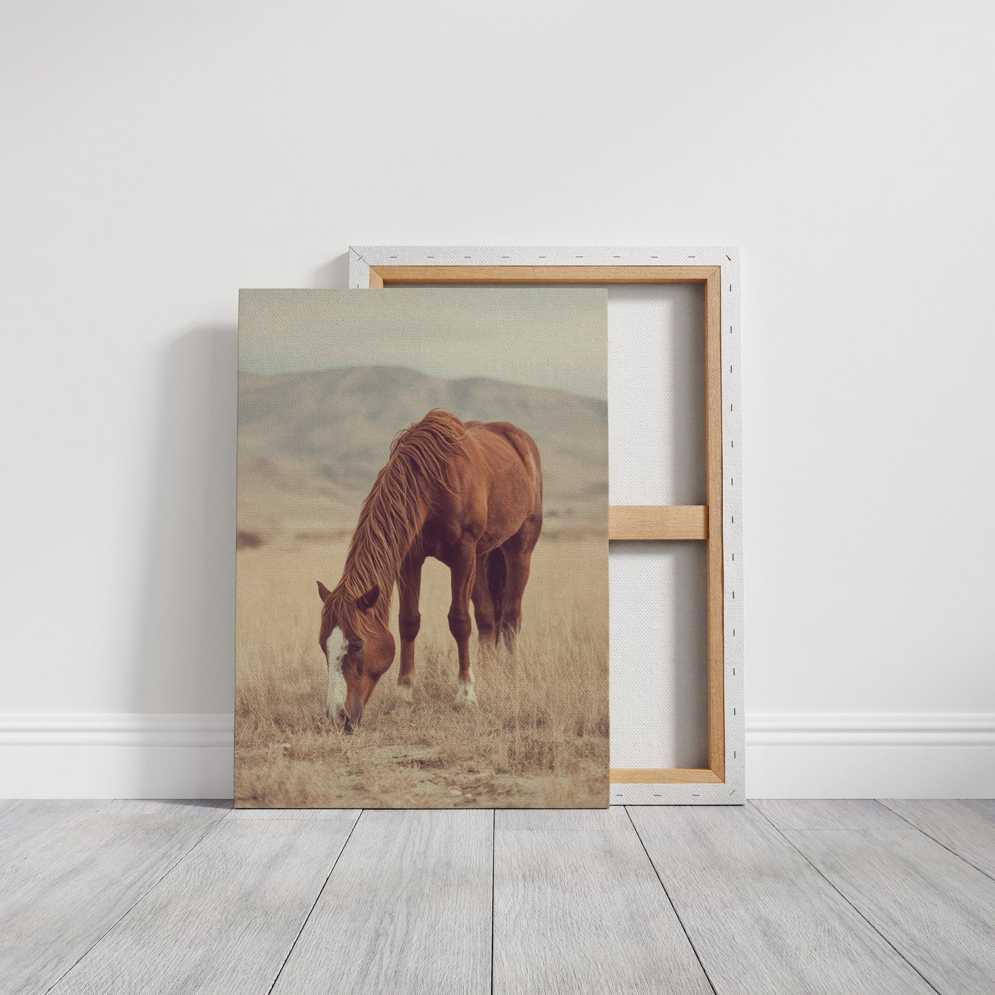 La dernière bouchée d'herbe ensoleillée