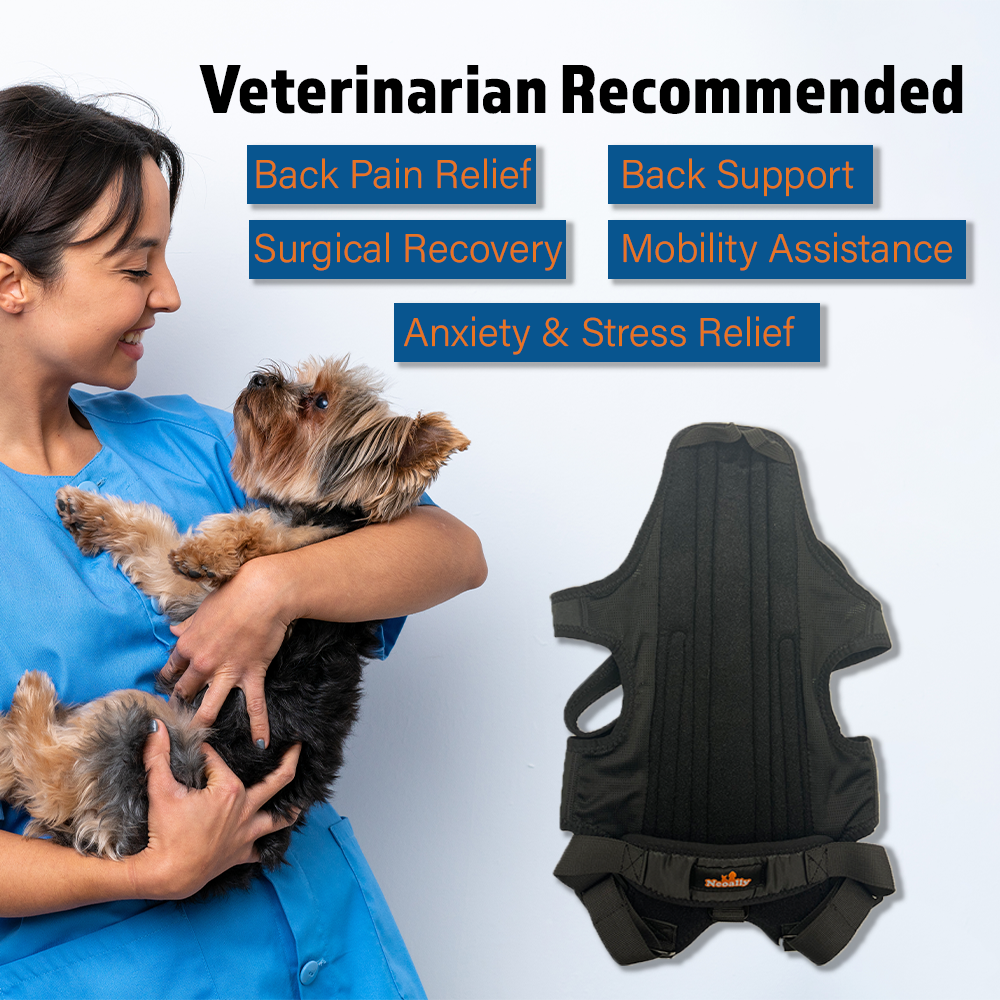 NeoAlly Orthèse dorsale pour chiens avec inserts pour un soutien supplémentaire